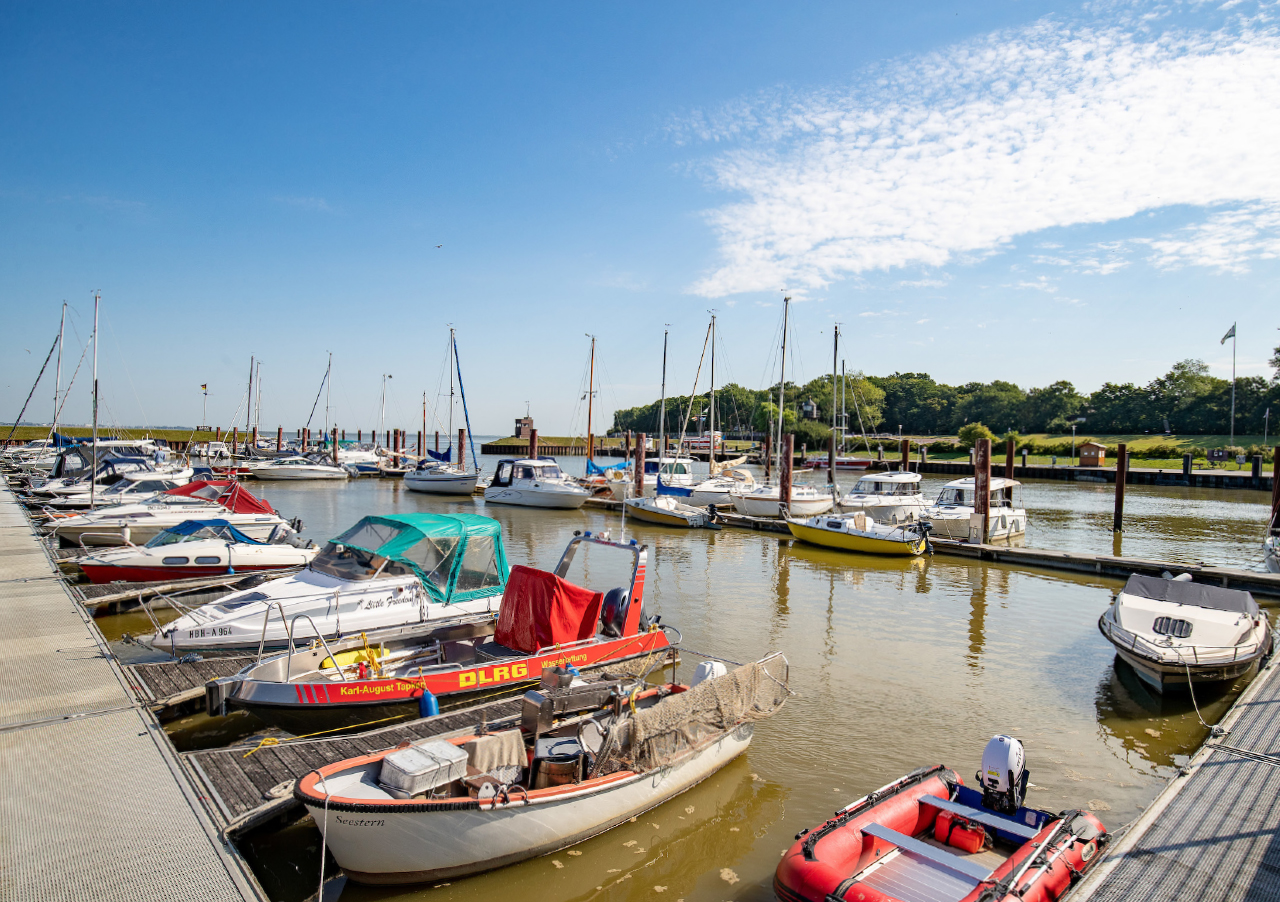 Mehrere kleine Boote und Segelboote, die an einem sonnigen Tag in einem Jachthafen angedockt sind, mit ruhigem Wasser, blauem Himmel und grünen Bäumen im Hintergrund.