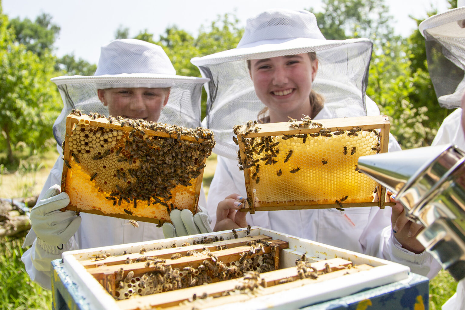 Zwei Personen in Imkerschutzanzügen lächeln, während sie an einem sonnigen Tag im Freien mit Grünpflanzen im Hintergrund die Rahmen eines Bienenstocks halten, der mit Bienen besetzt ist.