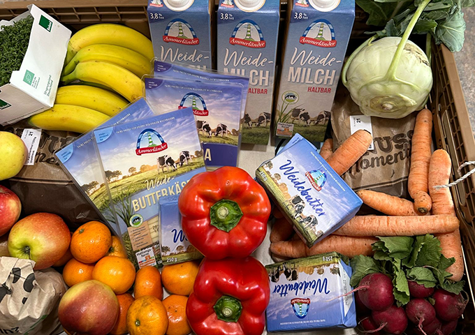 In einer Kiste sind verschiedene Lebensmittel wie Bananen, Kohlrabi, Karotten, Mandarinen, Radieschen, rote Paprika, Blattgemüse und verschiedene Milchprodukte ausgebreitet.
