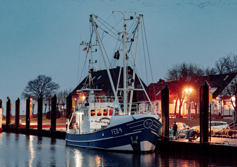 Ein blau-weißes Fischerboot liegt am Abend an einem Pier, im Hintergrund leuchten Gebäude und Straßenlaternen, und kahle Bäume heben sich vom Dämmerungshimmel ab.