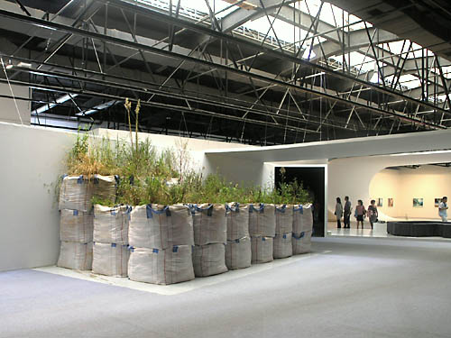 Große, mit Erde und Pflanzen gefüllte Stoffsäcke stehen in einer Ecke einer geräumigen, modernen Galerie mit hohen Decken und sichtbaren Balken; im Hintergrund sind Besucher zu sehen, die Kunstwerke betrachten.