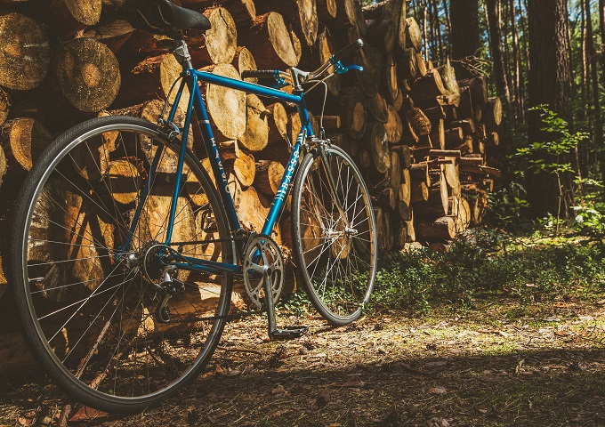 Ein blaues Fahrrad lehnt an einem großen Stapel gefällter Baumstämme in einem sonnenbeschienenen Wald, wobei das Sonnenlicht durch die Bäume auf den Boden fällt.