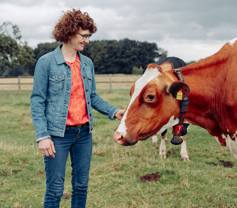 Eine Frau mit lockigem Haar und Brille, die eine Jeansjacke und Jeans trägt, steht draußen und streichelt eine braun-weiße Kuh mit Halsband auf einer grasbewachsenen Wiese. Im Hintergrund sind Bäume und ein Holzzaun zu sehen.