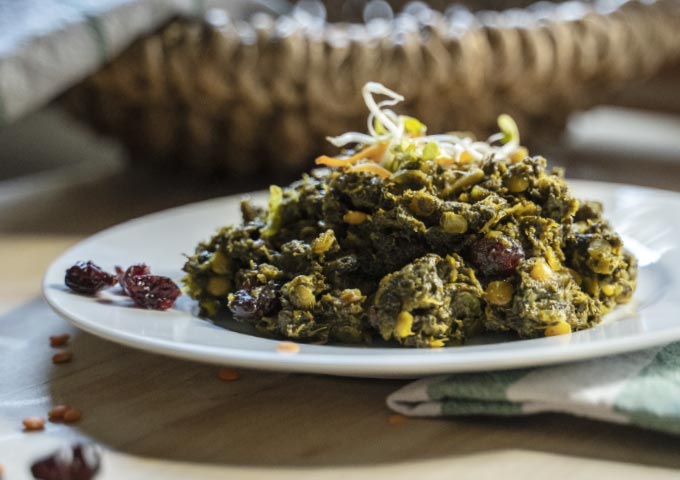 Eine Nahaufnahme eines weißen Tellers mit einer Portion grünlichem Linsen-Gemüse-Curry, garniert mit Sprossen und umgeben von getrockneten Cranberries und Linsen auf einem Holztisch - perfekt zu Ihren Lieblings-Brotbacken-Rezepten.