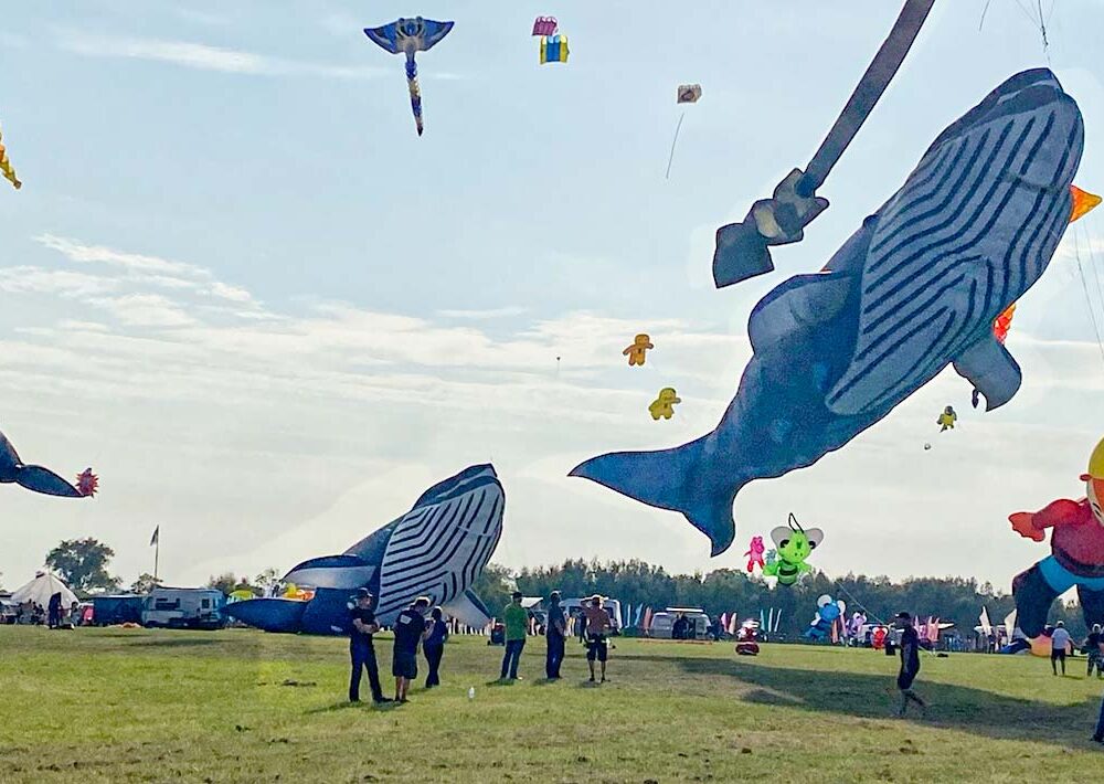 Große bunte Drachen in Form von Walen, Tieren und Zeichentrickfiguren schweben beim Drachenfest in Lemwerder über einer Wiese, während Menschen Drachenschnüre halten und Zuschauer im Hintergrund zuschauen.