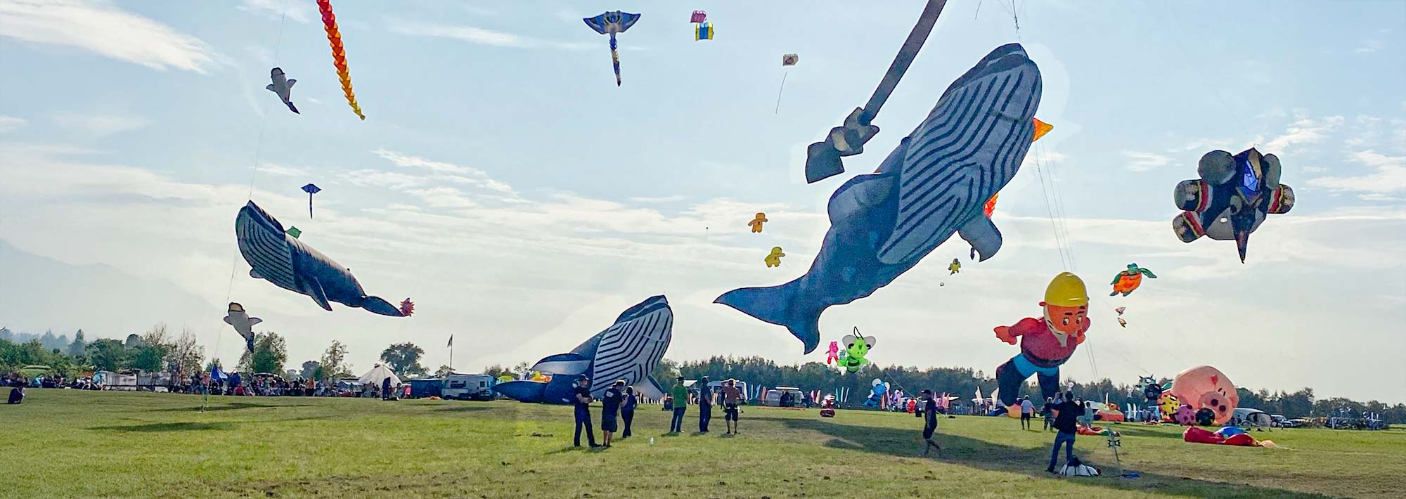 Große bunte Drachen in Form von Walen, Tieren und Zeichentrickfiguren schweben beim Drachenfest in Lemwerder über einer Wiese, während Menschen Drachenschnüre halten und Zuschauer im Hintergrund zuschauen.