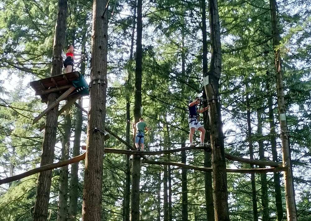Drei Kinder nehmen an einem Hochseilgarten im Kletterwald Thüle teil - eines steht auf einer Plattform, zwei andere überqueren sicherheitshalber angeschnallt schmale Holzbalken, umgeben vom dichten grünen Wald ihres Lieblingsorts.