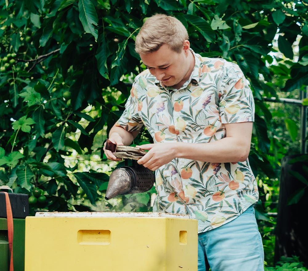 Ein Mann in einem tropisch bedruckten Hemd hält einen Bienen-Smoker über einen gelben Bienenstock, umgeben von üppigem grünem Laub - und fängt damit die Hingabe eines Imkers bei der Arbeit in seiner Imkerei ein, der sich um die Bienen für frischen Honig kümmert.