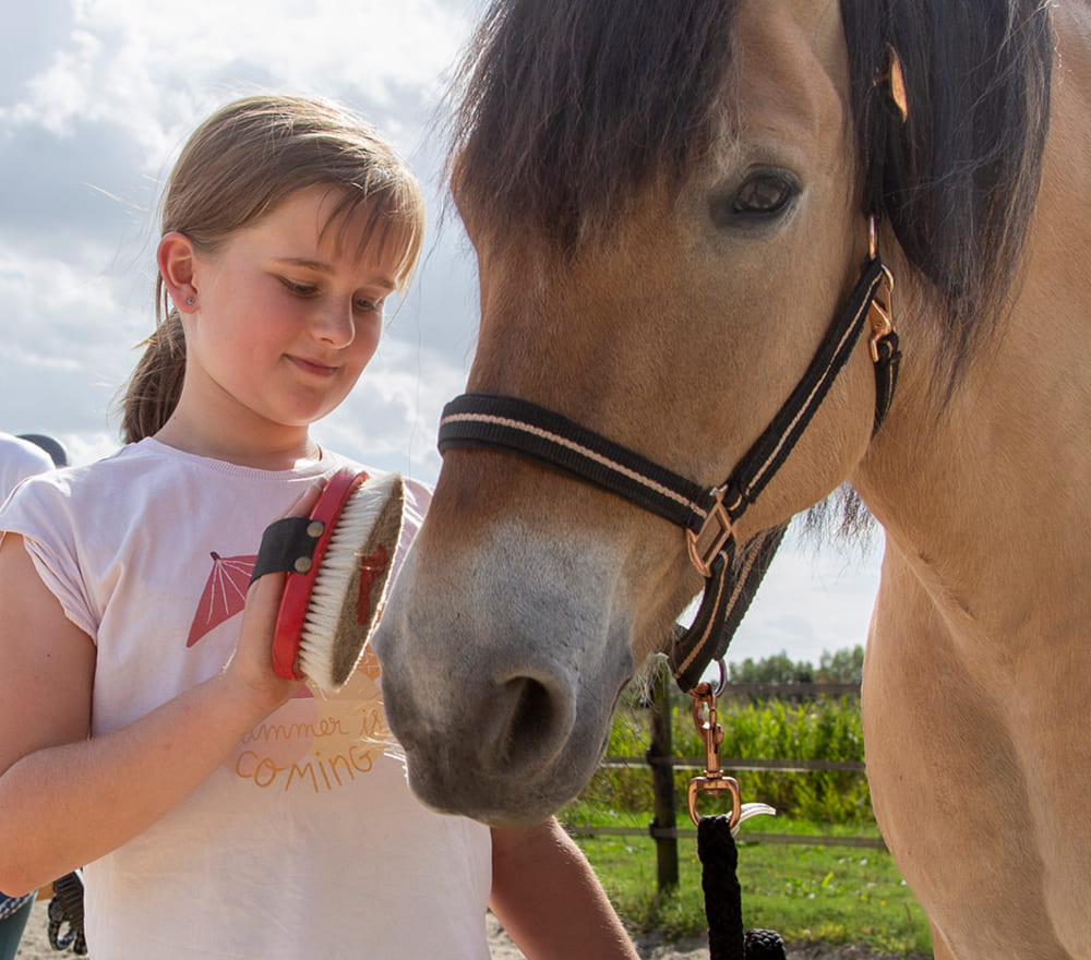 Ein Mädchen nimmt an der Reittherapie für Kinder teil und striegelt an einem sonnigen Tag draußen ein braunes Pferd. Sie lächelt und schaut das Pferd an, das ein schwarzes Halfter trägt. Im Hintergrund sind grüne Wiesen und ein Zaun zu sehen.