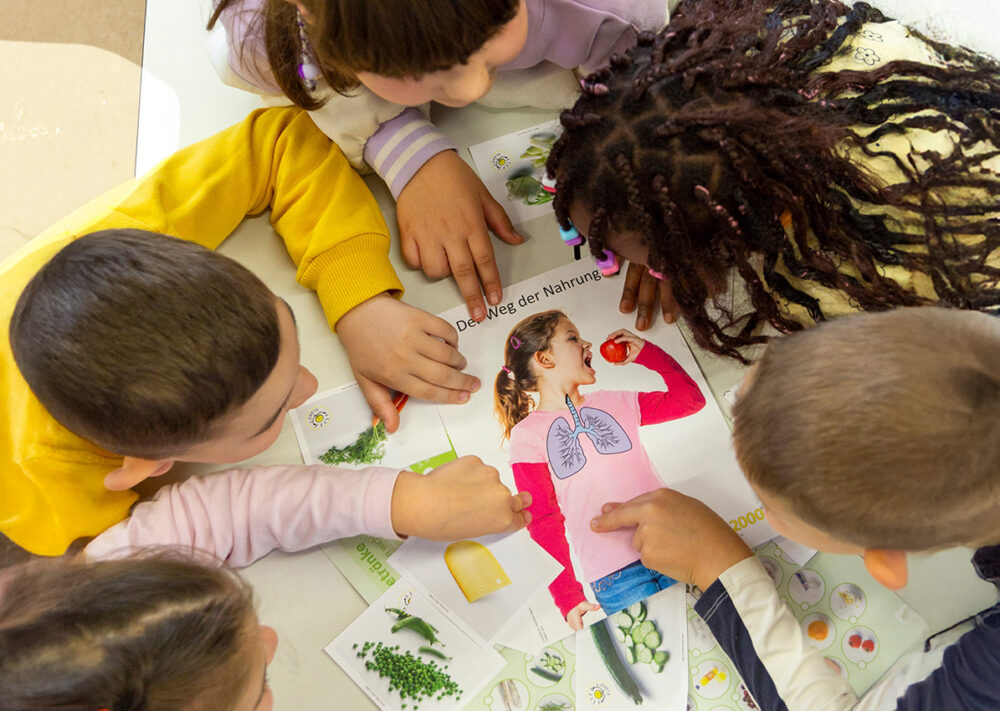 Fünf Kinder sitzen um einen Tisch herum und zeigen auf ein buntes Lernplakat mit Abbildungen von Lebensmitteln, menschlichen Organen und deutschen Texten. Die Kinder sind begeistert dabei und beschäftigen sich gemeinsam mit dem Plakat, wobei sie im Unterricht Themen wie die Digitalisierung erkunden – vielleicht stellen sie dabei sogar einen Bezug zu lokalen Organisationen wie dem Feuerwehr-Spielmannszug Cloppenburg her.