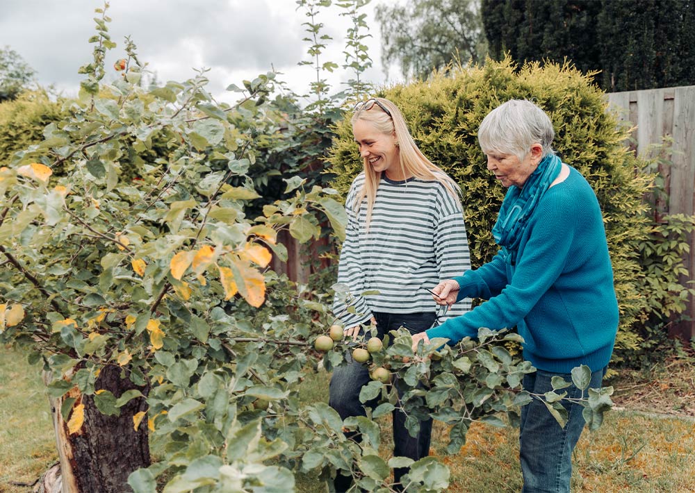 Zwei Frauen, eine ältere und eine jüngere, stehen in einem Garten neben einem Apfelbaum. Sie lächeln und scheinen an einem bewölkten Tag gemeinsam Äpfel zu pflücken. Im Hintergrund sind Sträucher und ein Holzzaun zu sehen.